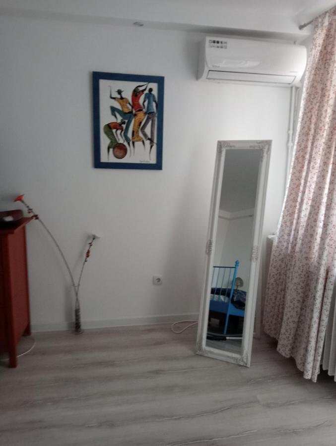 Skyline Central Apartment Timişoara Buitenkant foto