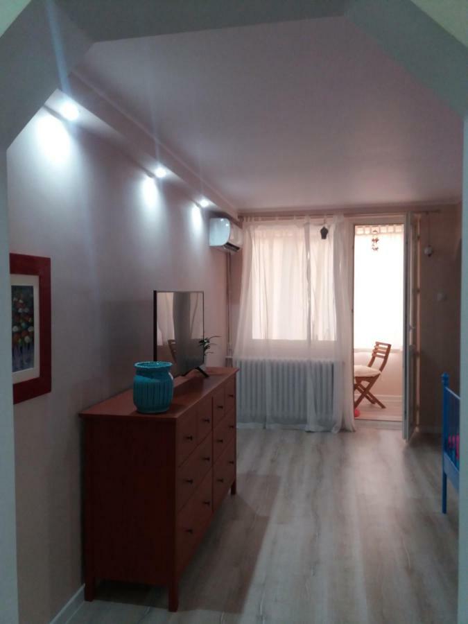 Skyline Central Apartment Timişoara Buitenkant foto