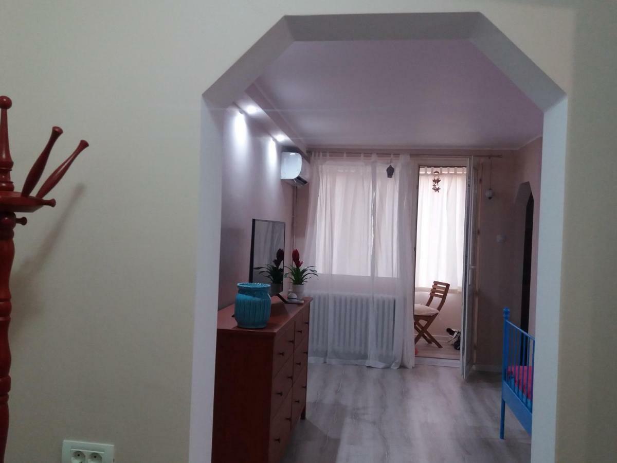 Skyline Central Apartment Timişoara Buitenkant foto