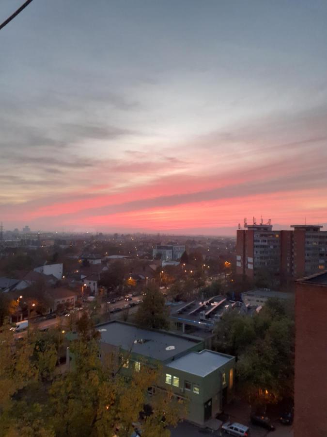 Skyline Central Apartment Timişoara Buitenkant foto
